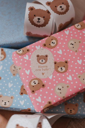 Cadeaupapier - Little Bear (pink/blue)