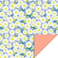 Cadeaupapier - Daisy blue salmon